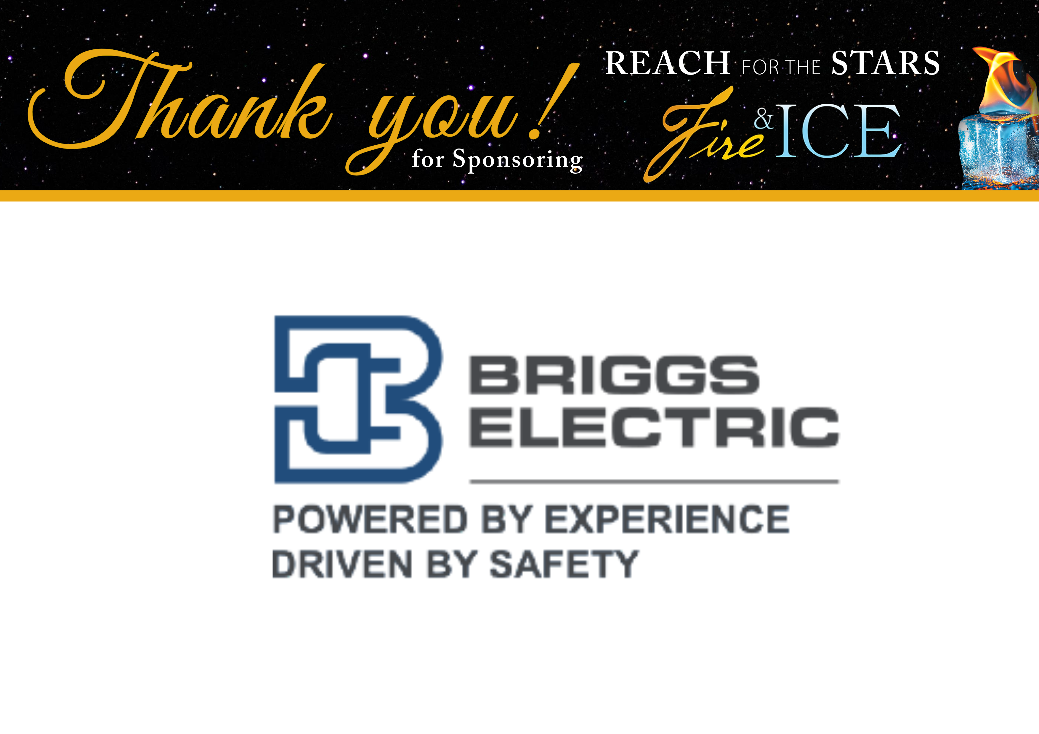 Briggs Electric Powers Up Education at WNC Gala