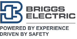 Briggs Electric