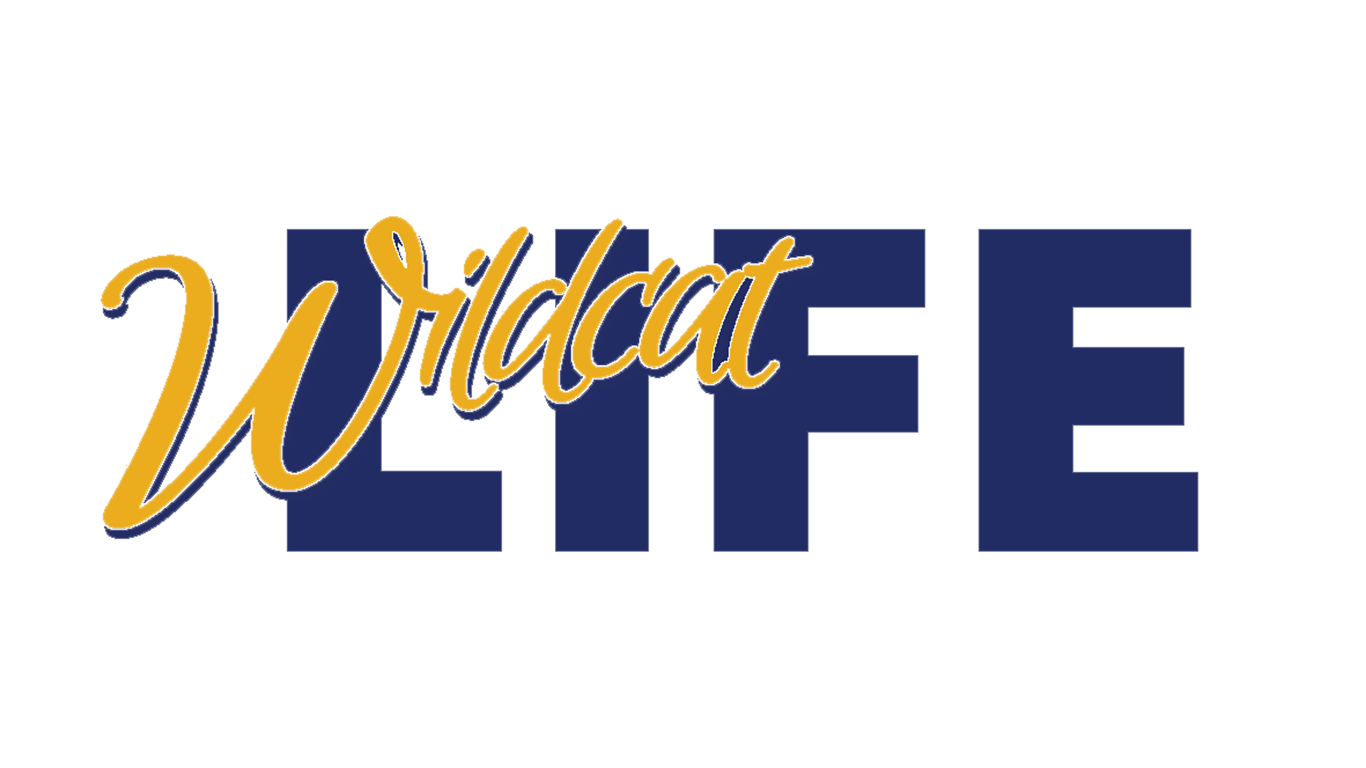 Wildcat Life